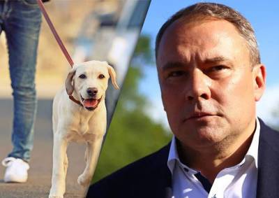 Депутат Госдумы Толстой помог открыть новые площадки для выгула собак в районе Выхино-Жулебино