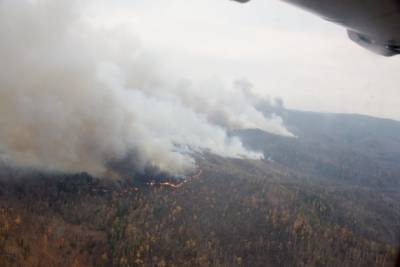Лесной пожар на Молоковке под Читой потушили спустя почти двое суток