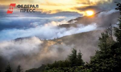 Минприроды РФ заявило о сильном занижении данных по лесным пожарам в Иркутской области