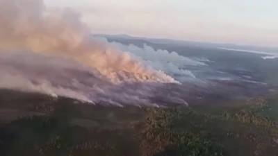 В Мурманской области борются с крупным лесным пожаром
