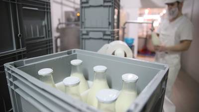 Правительство упростило маркировку молочной продукции