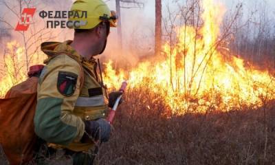 Лесной пожар в Мурманской области охватил сотни гектаров