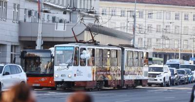 Дятлова: Трамвай не будет восстановлен на въездных магистралях