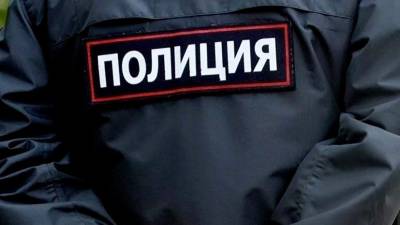 МВД начало проверку по делу о нападении на полицейских под Новосибирском