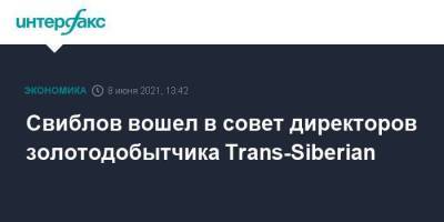 Свиблов вошел в совет директоров золотодобытчика Trans-Siberian