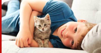 Кошки для детей: 7 самых игривых и общительных пород
