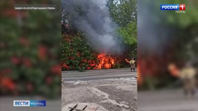 Не июль, но жарко. Тополиный пух стал причиной пожаров в Перми