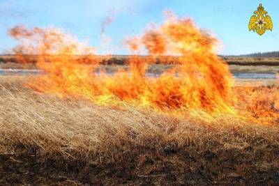 Ульяновские пожарные за сутки выезжали на тушение сухой травы 16 раз