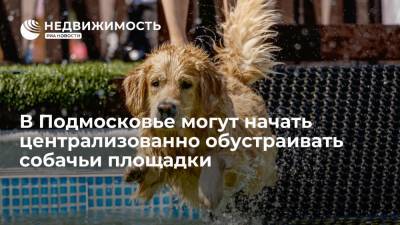 В Подмосковье могут начать централизованно обустраивать собачьи площадки