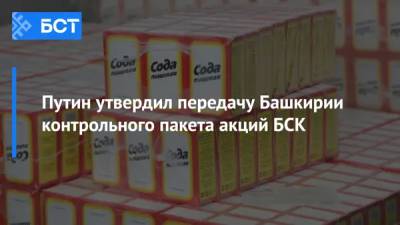 Путин утвердил передачу Башкирии контрольного пакета акций БСК