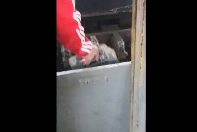 В Рязани сняли на видео, как водитель пытался починить троллейбус картонкой