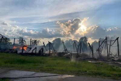 Пожар полностью уничтожил пилораму в Тверской области