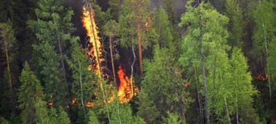 МЧС предупреждает о высокой пожарной опасности в лесах Карелии