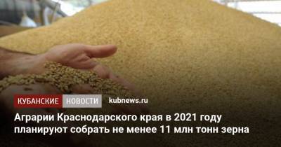 Аграрии Краснодарского края в 2021 году планируют собрать не менее 11 млн тонн зерна