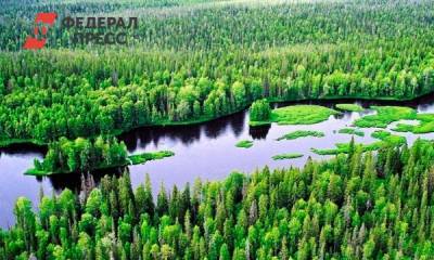 Минэкономразвития: Карелия не останется за границей Крайнего Севера