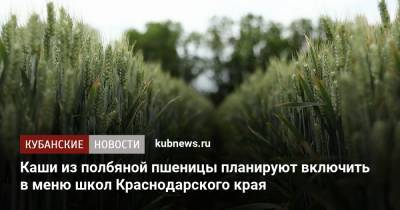 Каши из полбяной пшеницы планируют включить в меню школ Краснодарского края