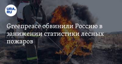 Greenpeace обвинили Россию в занижении статистики лесных пожаров