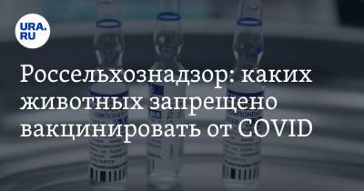 Россельхознадзор: каких животных запрещено вакцинировать от COVID