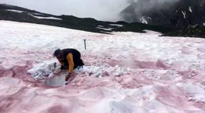 Ученые рассказали, почему на вершине Альп снег покрыт «кровавыми пятнами»