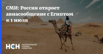 СМИ: Россия откроет авиасообщение с Египтом к 1 июля