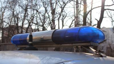 Полиция устроила погоню с оружием за нарушителем на черном "Ауди" в Петербурге