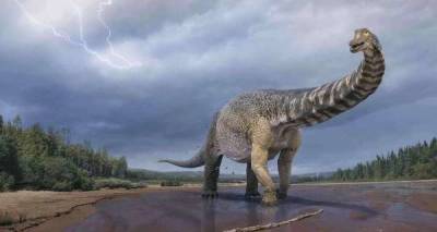 Учёные сообщили об обнаружении останков самого большого динозавра Австралии