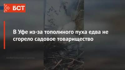 В Уфе из-за тополиного пуха едва не сгорело садовое товарищество