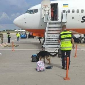 В Борисполе сообщили о бомбе в самолете: информация не подтвердилась. Фото