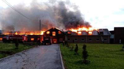 Под Нижним Новгородом тушат крупный пожар в конюшне