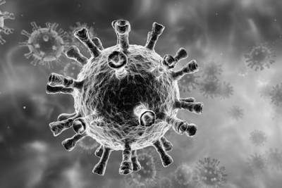 8 июня коронавирус обнаружили в 12 регионах Смоленщины