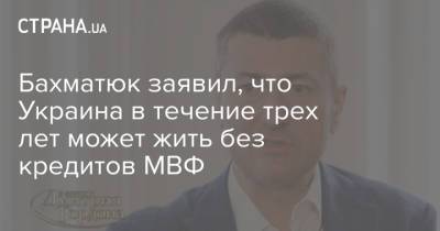 Бахматюк заявил, что Украина в течение трех лет может жить без кредитов МВФ