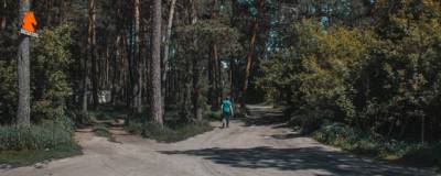 Из-за реконструкции Заельцовского парка новосибирцы лишились подъезда к домам