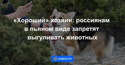 «Хороший» хозяин: россиянам в пьяном виде запретят выгуливать животных