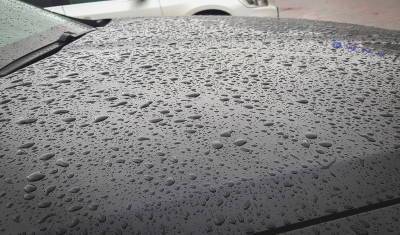 Дожди и грозы: синоптики рассказали о погоде в Башкирии на ближайшие три дня
