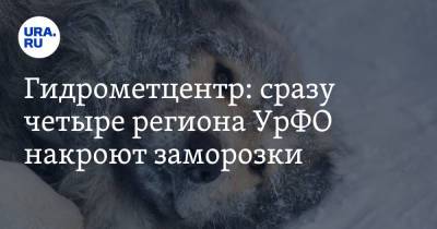 Гидрометцентр: сразу четыре региона УрФО накроют заморозки