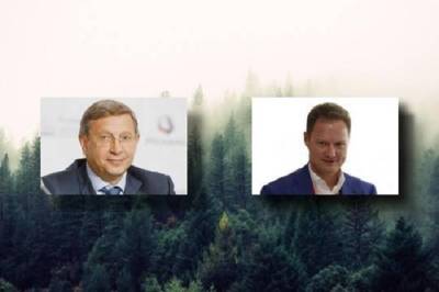Создание госкорпорации по экспорту древесины может сыграть на руку Глебу Франку и Владимиру Евтушенкову