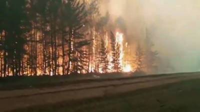 Новости на "России 24". В Якутии остановили крупный пожар перед поселком