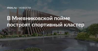 В Мневниковской пойме построят спортивный кластер