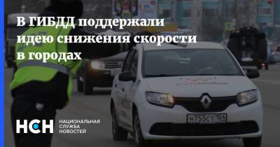 Дмитрий Митрошин - В ГИБДД поддержали идею снижения скорости в городах - nsn.fm - Россия