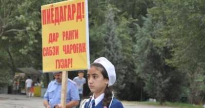На дорогах Таджикистана с 10 по 20 июня пройдет операция "Дети"