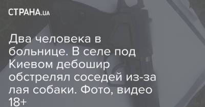 Два человека в больнице. В селе под Киевом дебошир обстрелял соседей из-за лая собаки. Фото, видео 18+