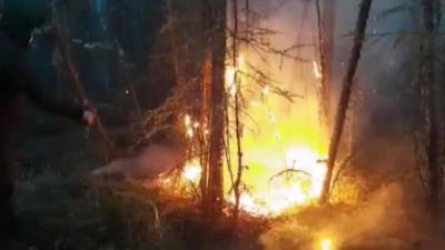 В Якутии лесной пожар подошел вплотную к поселку в Томпонском районе - piter.tv - респ. Саха - район Томпонский