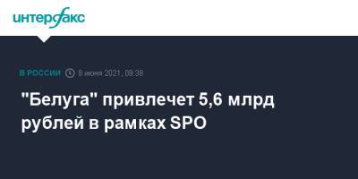 "Белуга" привлечет 5,6 млрд рублей в рамках SPO