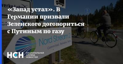 «Запад устал». В Германии призвали Зеленского договориться с Путиным по газу