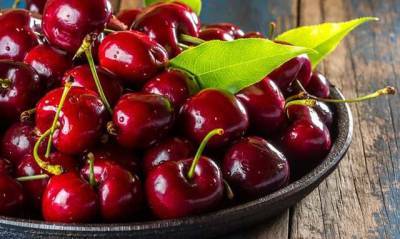 В Украине гибнет урожай знаменитой мелитопольской черешни: что будет с ценами на ягоды