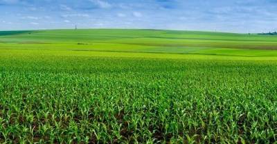 На восстановление систем орошения украинской земли необходимо $3 млрд — аграрии