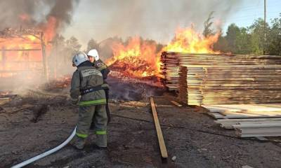 Трагедия на пилораме в Карелии: на пожаре погибла женщина