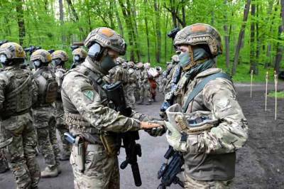 Не в коня корм: НАТО раскритиковало готовность Сил спецопераций Украины