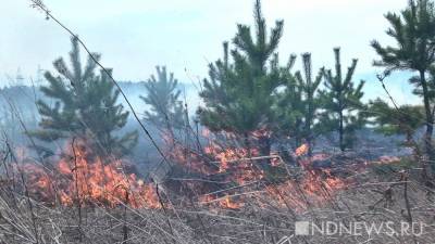 На Ямале ликвидируют крупный пожар – горит почти 58 гектар