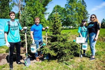 Дмитрий Павлов с волонтерами посадил деревья у монумента «Ополченцы»